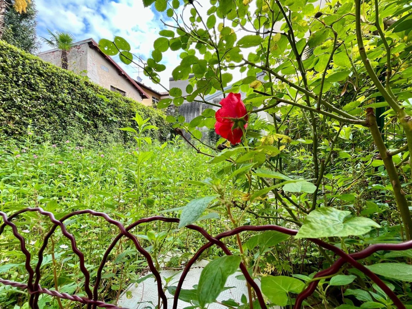 Appartamento Frida Angera Exterior foto